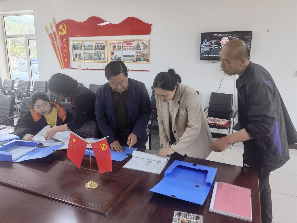 东营坊乡开展对村阳光三务检查工作